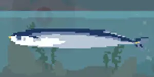 サンマ - SUMMER-夏の14日-