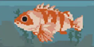 メバル - SUMMER-夏の14日-