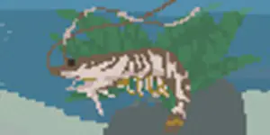 エビ - SUMMER-夏の14日-