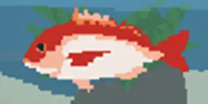 タイ - SUMMER-夏の14日-