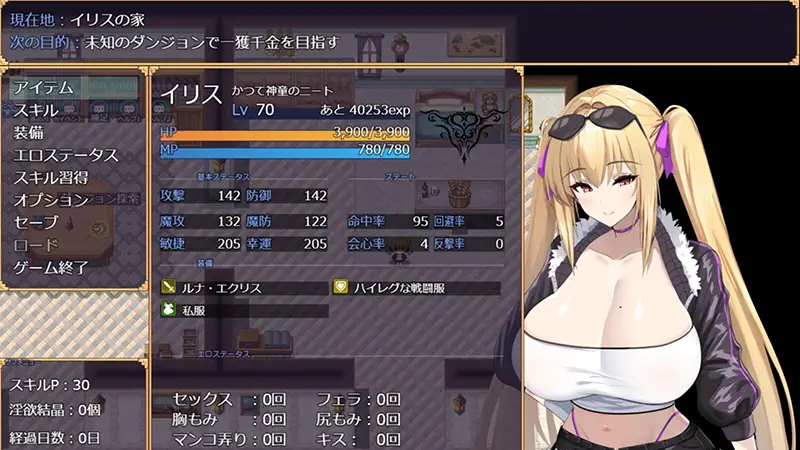 このアタシが、たかがダンジョン… 紹介 1-1