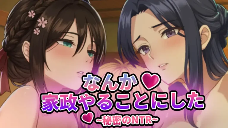 なんか、家政やることにした